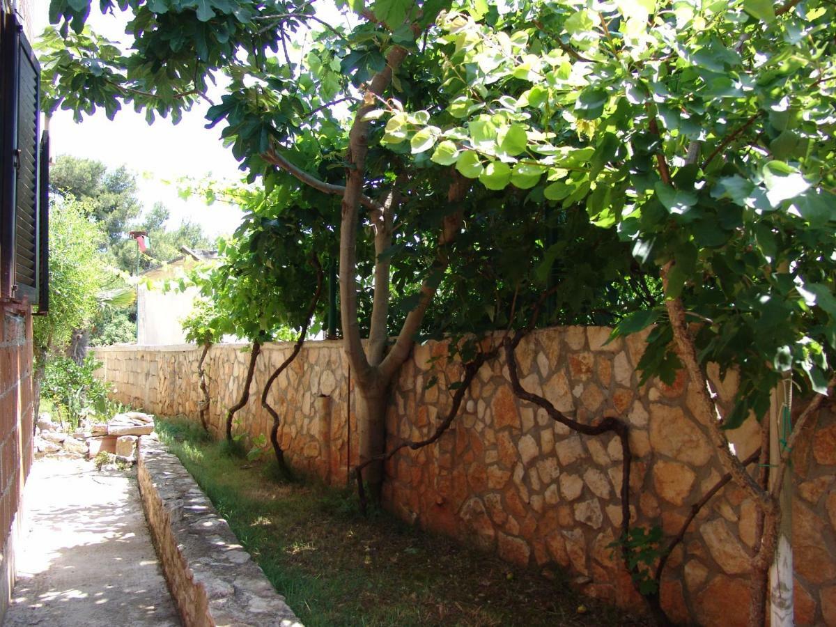 הוילה Ližnjan Manuela מראה חיצוני תמונה